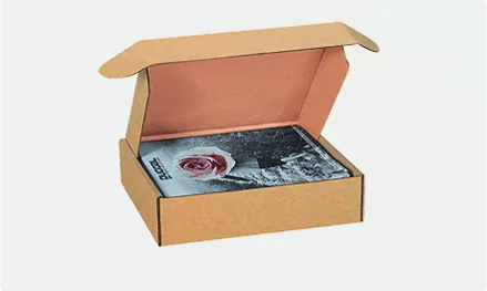 Kraft Literature Mailers