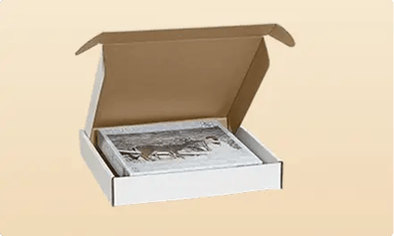 White Literature Mailers